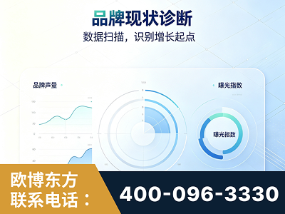 福鼎-品牌现状诊断